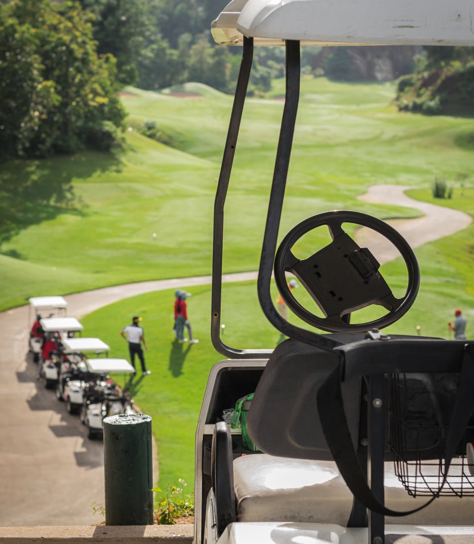 Golf & LSV - PRO Charging Systems